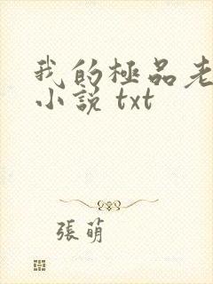 我的极品老婆 小说 txt