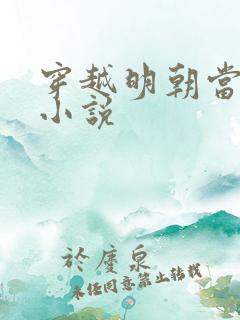 穿越明朝当老大小说