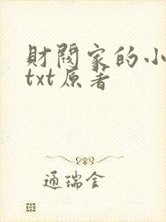 财阀家的小儿子txt原著