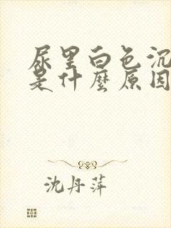 尿里白色沉淀物是什么原因