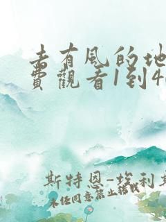 去有风的地方免费观看1到40集