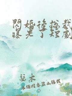 闪婚后总裁身份曝光了短剧免费观看