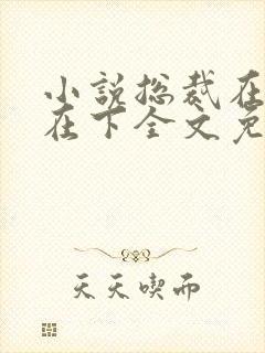 小说总裁在上我在下全文免费阅读