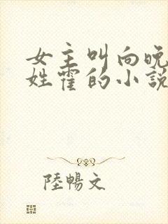 女主叫向晚男主姓霍的小说