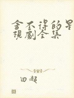 舍不得的星星电视剧全集