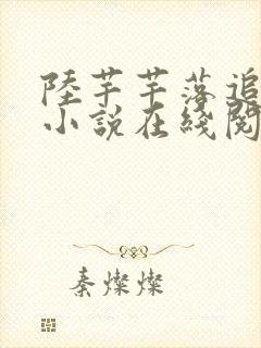 陆芊芊落追嘉措小说在线阅读