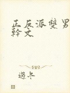 正反派双男主高干文