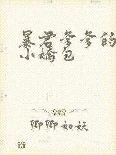 暴君爹爹的团宠小娇包