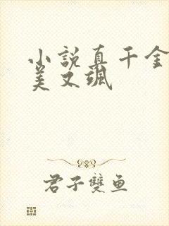 小说真千金她又美又飒