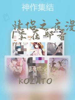 情侣之夜漫画第1季在哪看：结局+番外