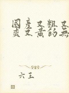 国产又粗又猛又爽又黄的无遮挡视频