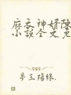 麻衣神婿陈黄皮小说全文免费阅读