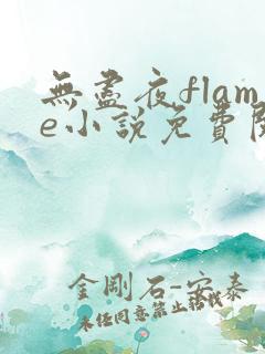 无尽夜flame小说免费阅读