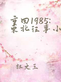 重回1985:东北往事小说