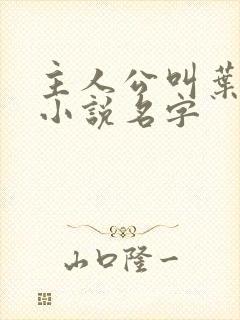 主人公叫叶凡的小说名字