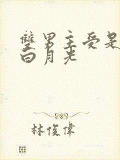 双男主受是攻的白月光