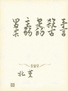 男主是杀手女主柔弱的古言