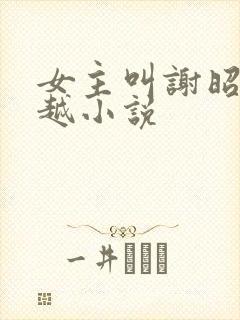 女主叫谢昭的穿越小说