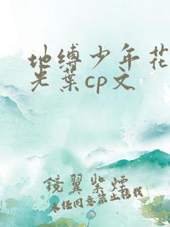地缚少年花子君光叶cp文