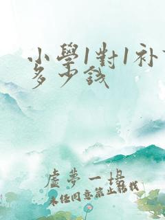 小学1对1补课多少钱