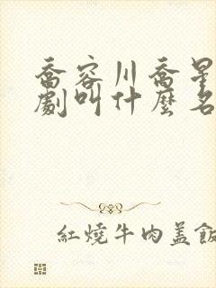 乔容川乔星叶短剧叫什么名字