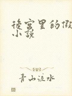 后宫里的假太监小说