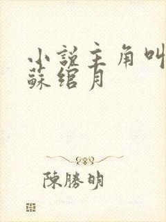 小说主角叫林凡苏绾月