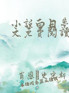 小说白日梦我全文免费阅读免费