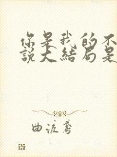 你是我的不可言说大结局是什么