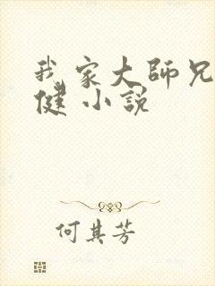 我家大师兄太稳健 小说