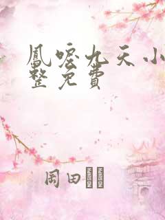 凤唳九天小说完整免费