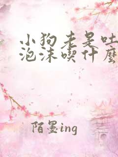 小狗老是吐白色泡沫吃什么药