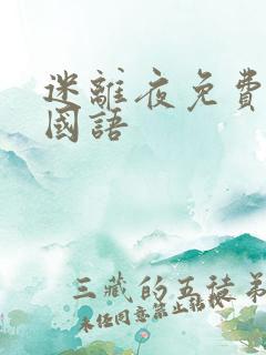 迷离夜免费播放国语