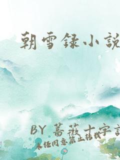 朝雪录小说免费