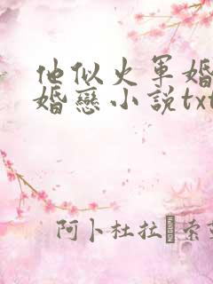 他似火军婚高干婚恋小说txt