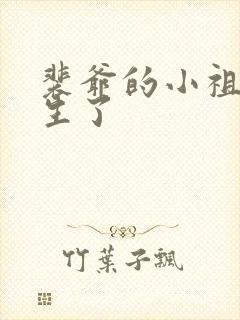 裴爷的小祖宗重生了