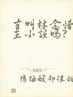 有叫林念惜的女主小说吗?