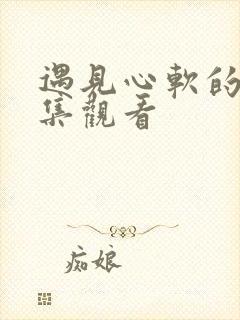 遇见心软的神全集观看