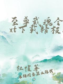 至尊武魂全本txt下载精校版