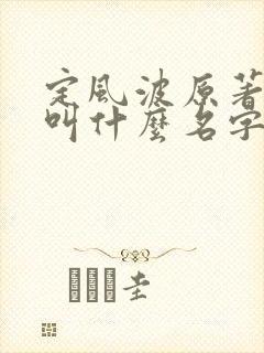 定风波原著小说叫什么名字