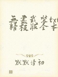 无尽武装txt精校版全本