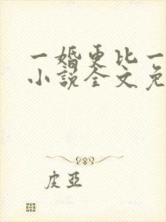 一婚更比一婚高小说全文免费阅读