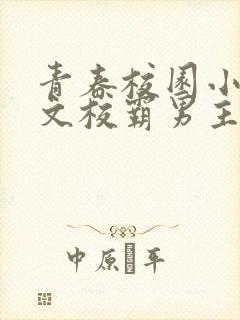 青春校园小说甜文校霸男主