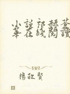 小说祁赫苍许灼华在线阅读