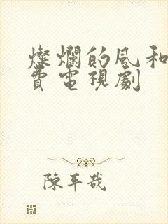 灿烂的风和海免费电视剧