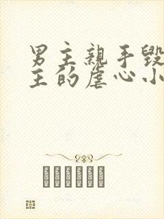 男主亲手毁了女主的虐心小说