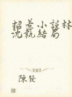 招惹小说林清然沈执结局