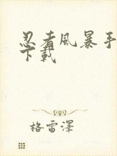 忍者风暴手机版下载