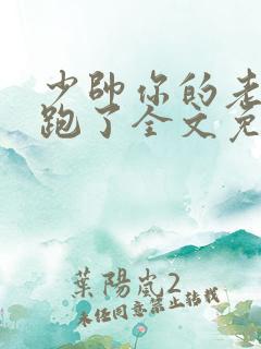 少帅你的老婆又跑了全文免费阅读