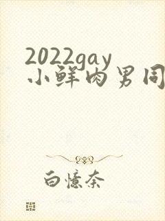 2022gay小鲜肉男同